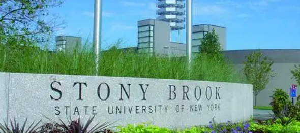 2024stony brook university世界排名QS第几？相当于国内什么大学？